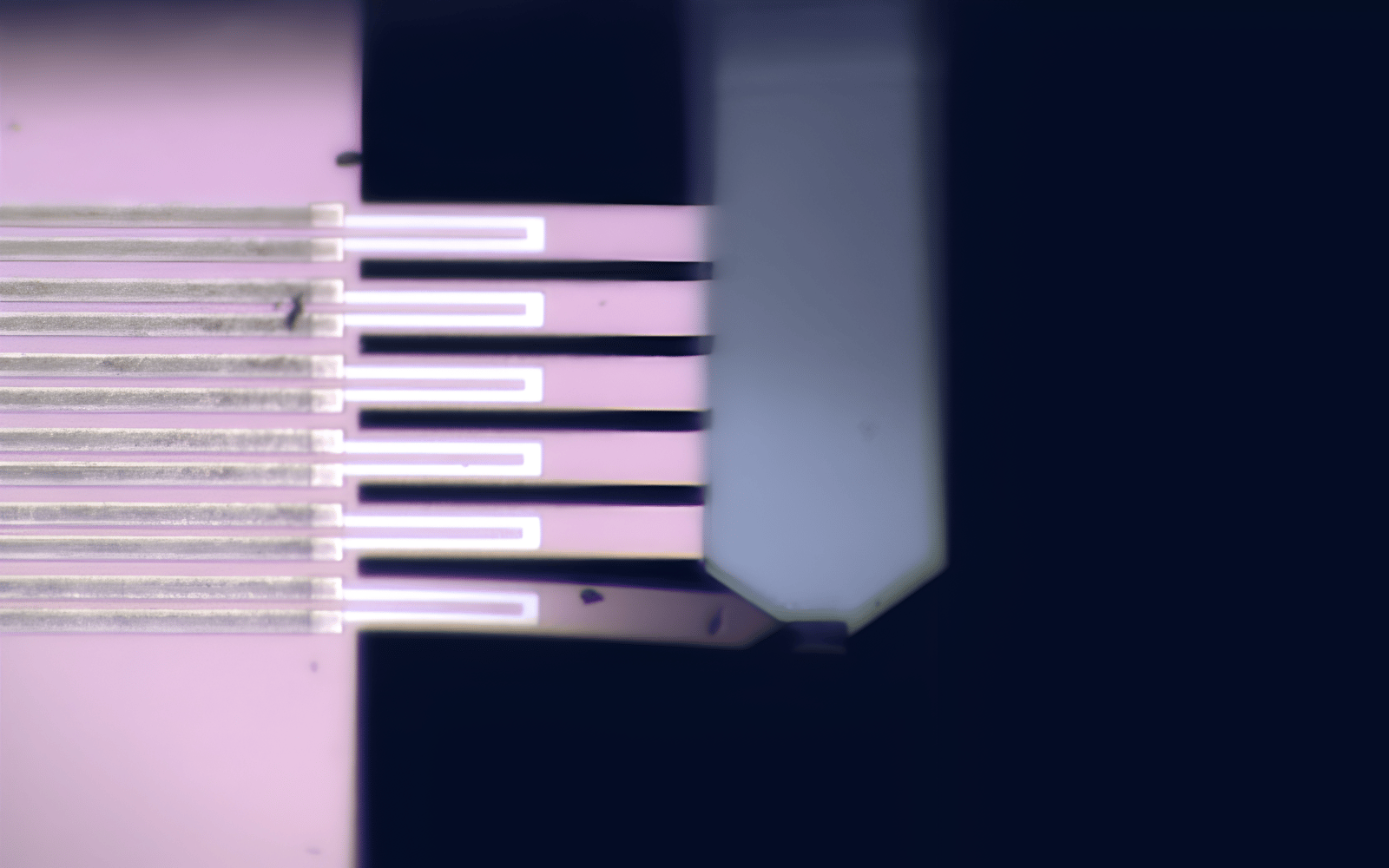 Close-up of a MEMS chip with cantilevers, highlighting integrated piezoresistive sensors for force measurement.