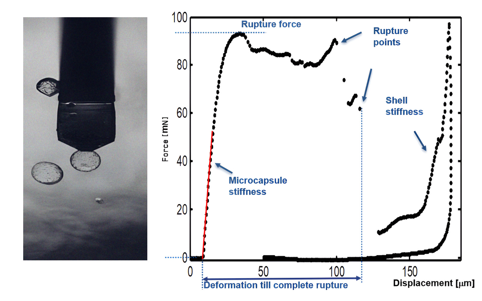 Graph showing force-deformation relationship of a hydrogel microcapsule during a compression test, indicating stiffness and rupture points.